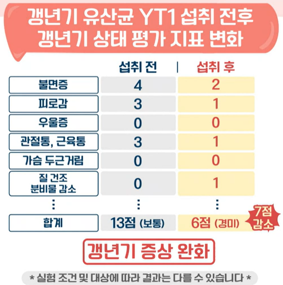 갱년기 유산균 YT1 효능