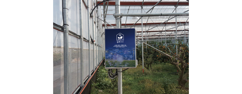 제주 서귀포시 cctv