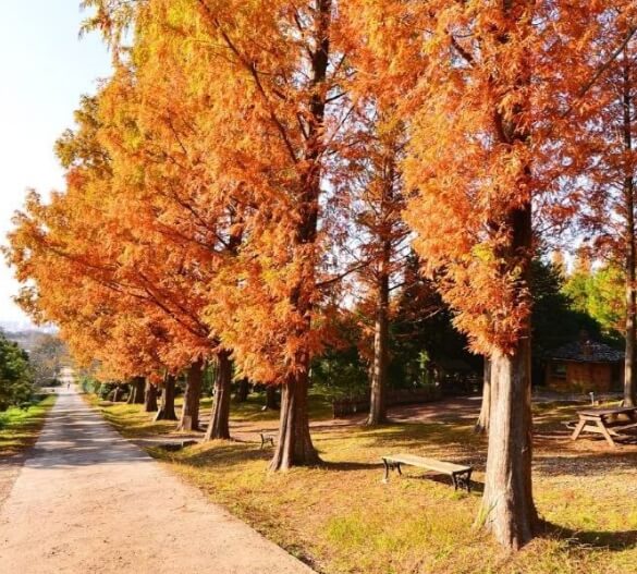 나주 가볼만한곳 베스트 10