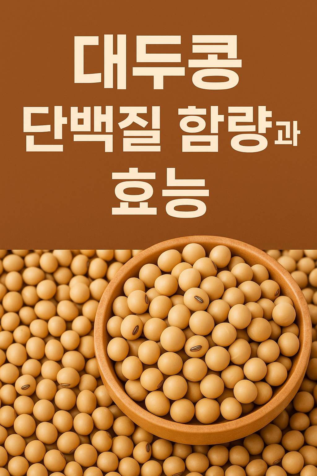 대두콩 단백질 함량 - 사진