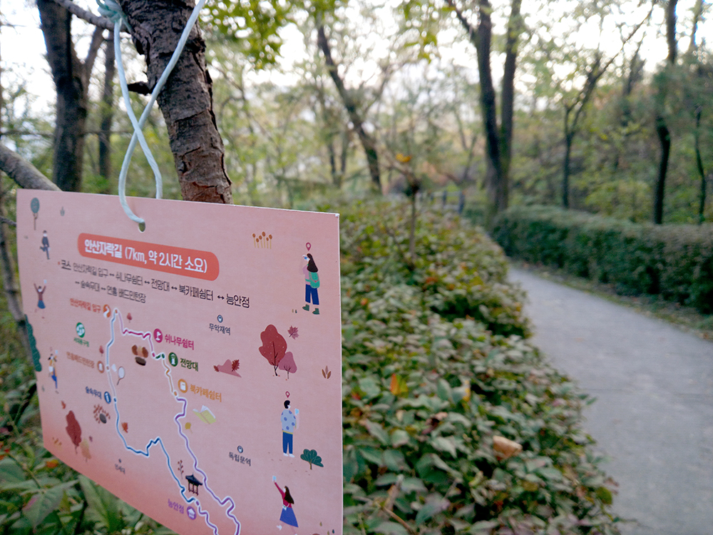 서대문구 안산자락길 나혼자걷기 챌린지