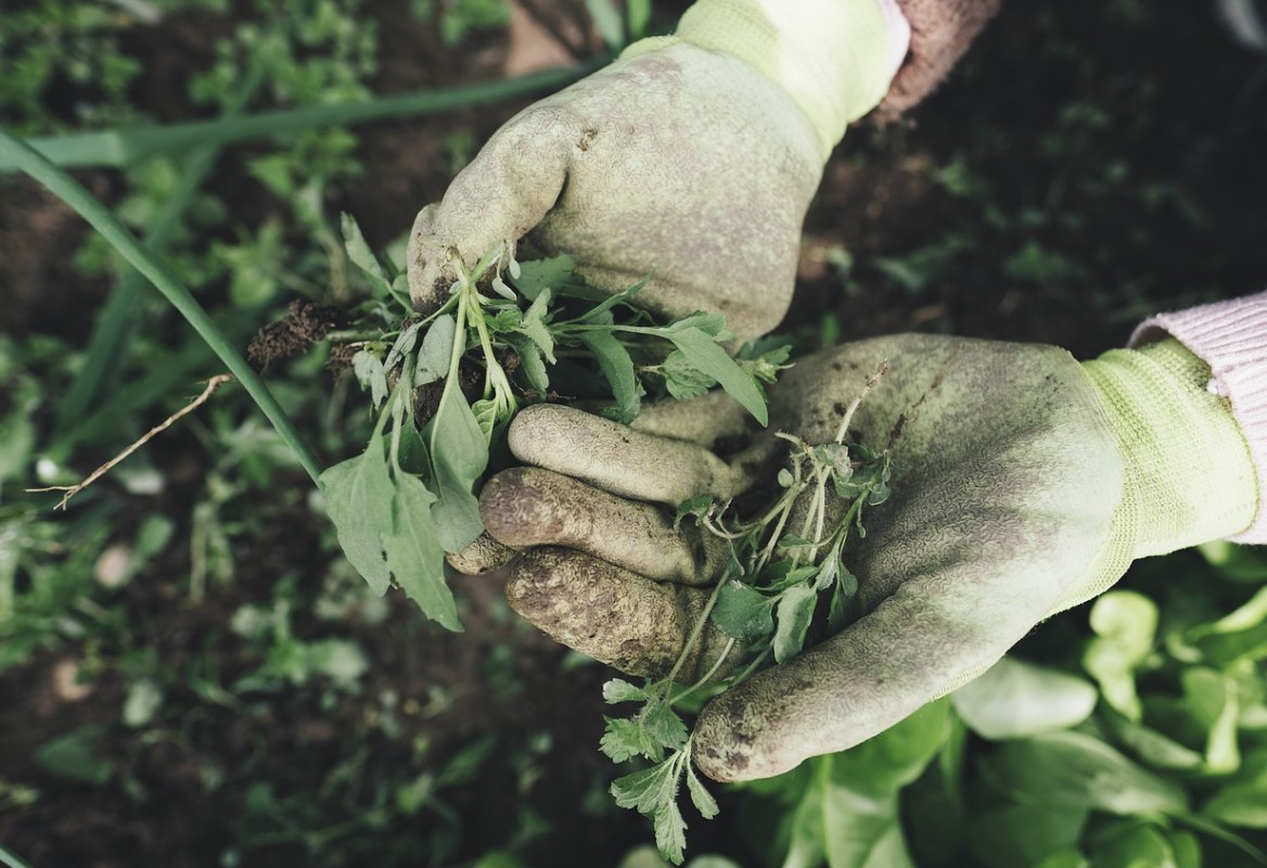 시니어를 위한 취미 생활: 가드닝, 공예, 음악 등