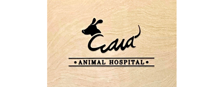 청주 서원구 동물병원