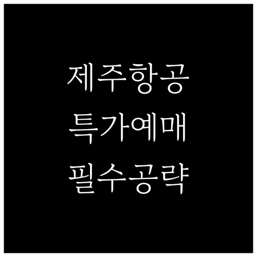 제주항공 어플 활용하여 특가 항공권 ..