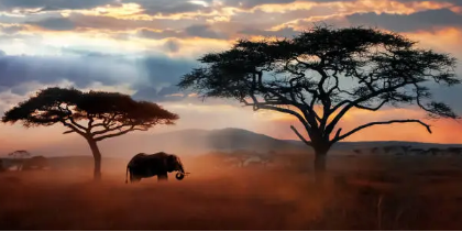 아프리카 일부 지역에서 빨간색이 죽음과 연결된 이유