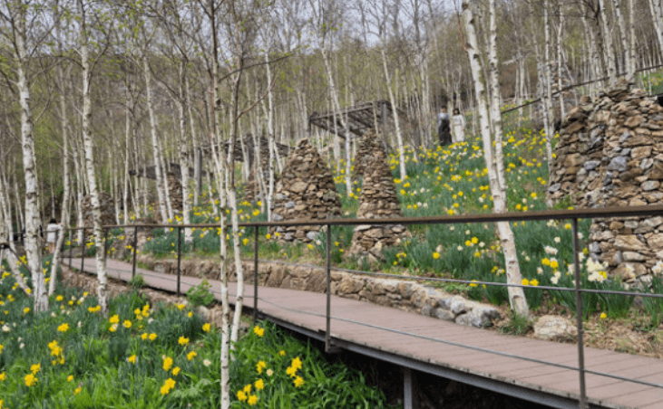 2025 화담숲 모노레일 예약 야놀자