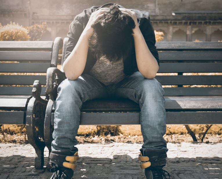 피로회복에 좋은 약초 효능 활용법