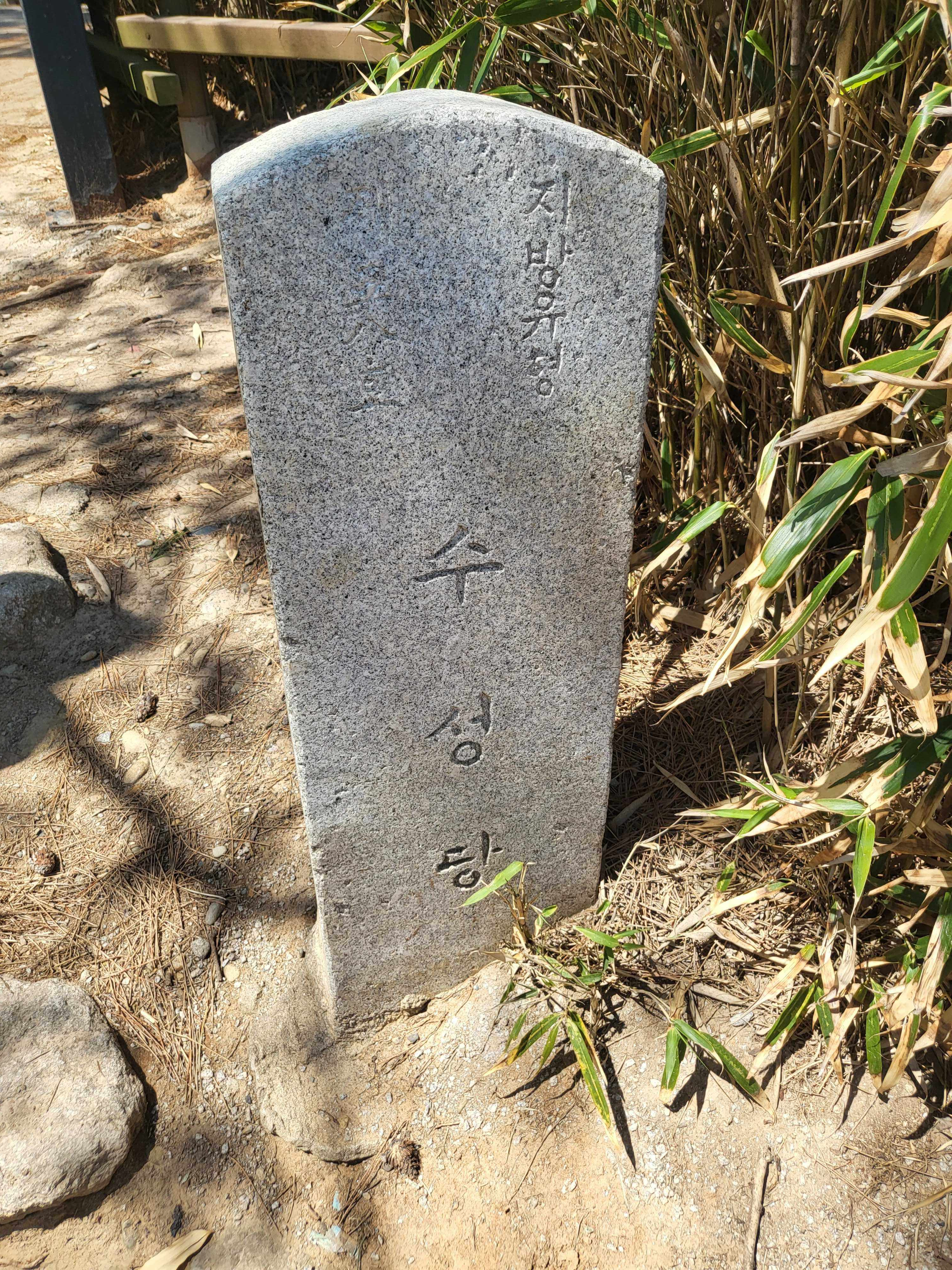 전라도 부안 여행 유채꽃 수성당