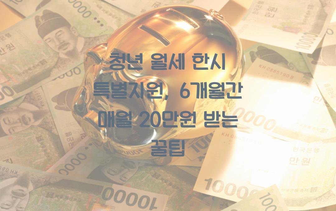 청년 월세 한시 특별지원, 6개월간 매월 20만원 받는 방법