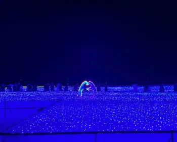 해운대 빛축제_16