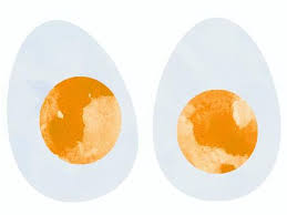 반숙 계란 삶는 시간