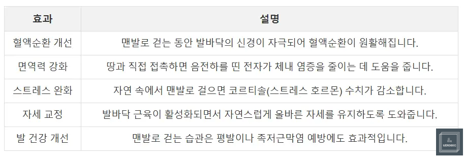 맨발걷기효능표