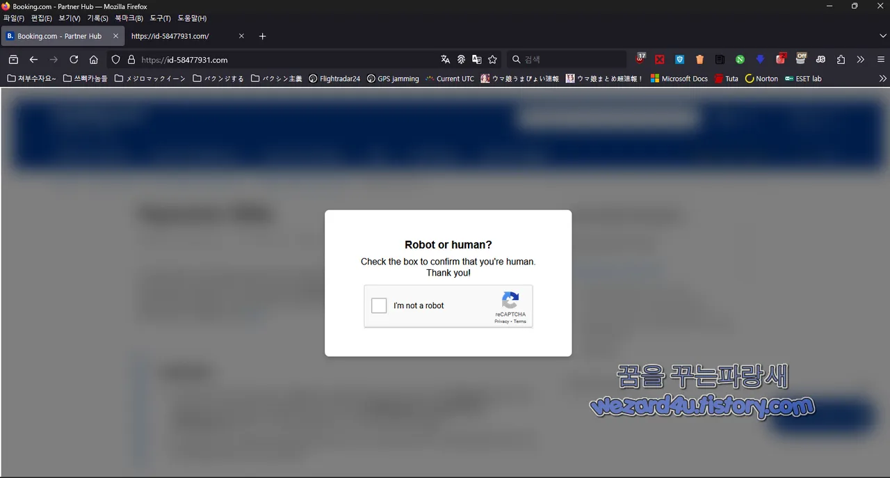 Lumma Stealer 로 제작된 사이트