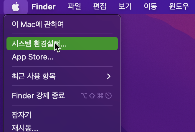 시스템 환경