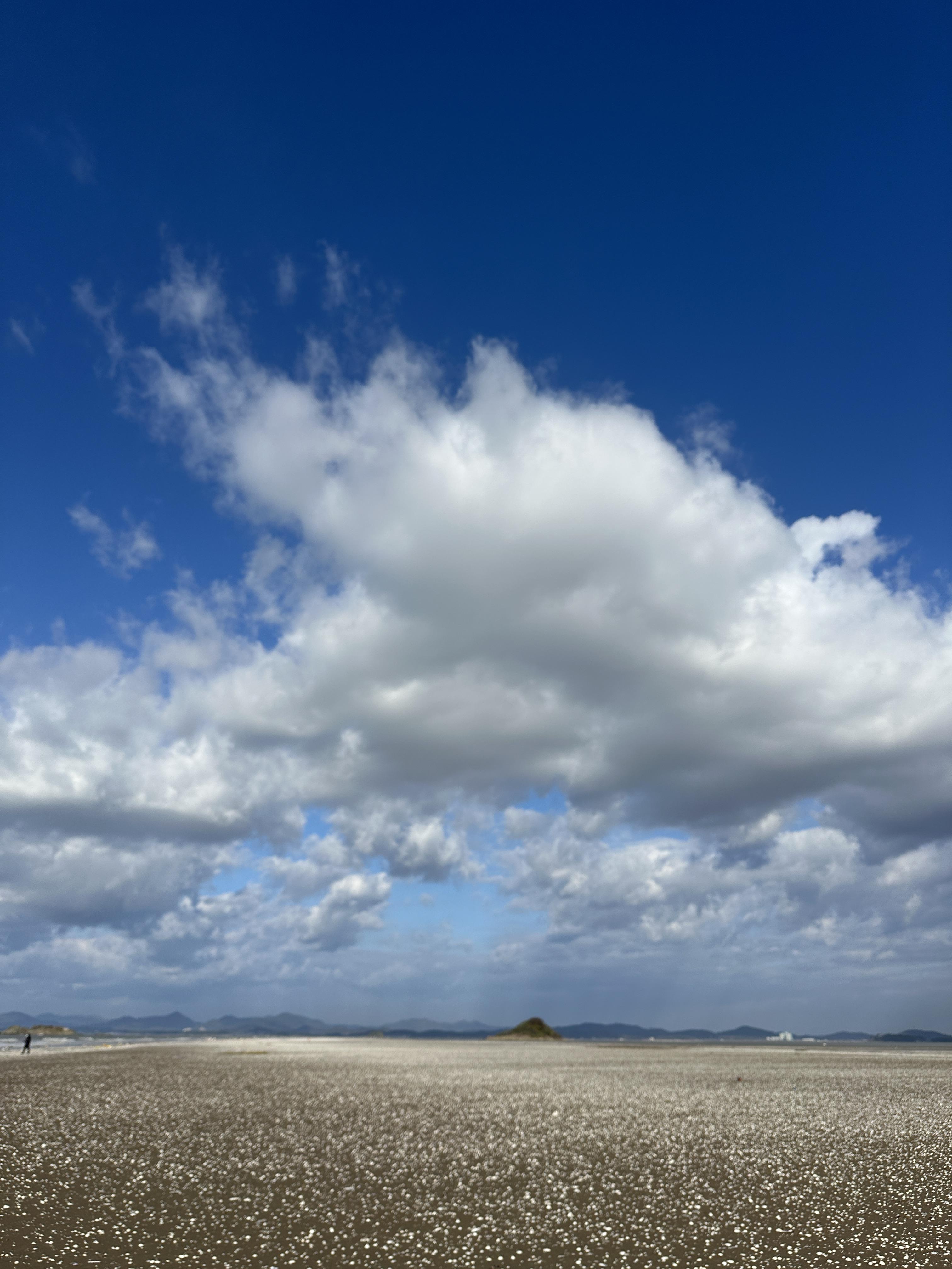 서천 여행 방법