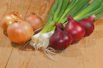 양파즙 효능 및 영양성분, 주의점