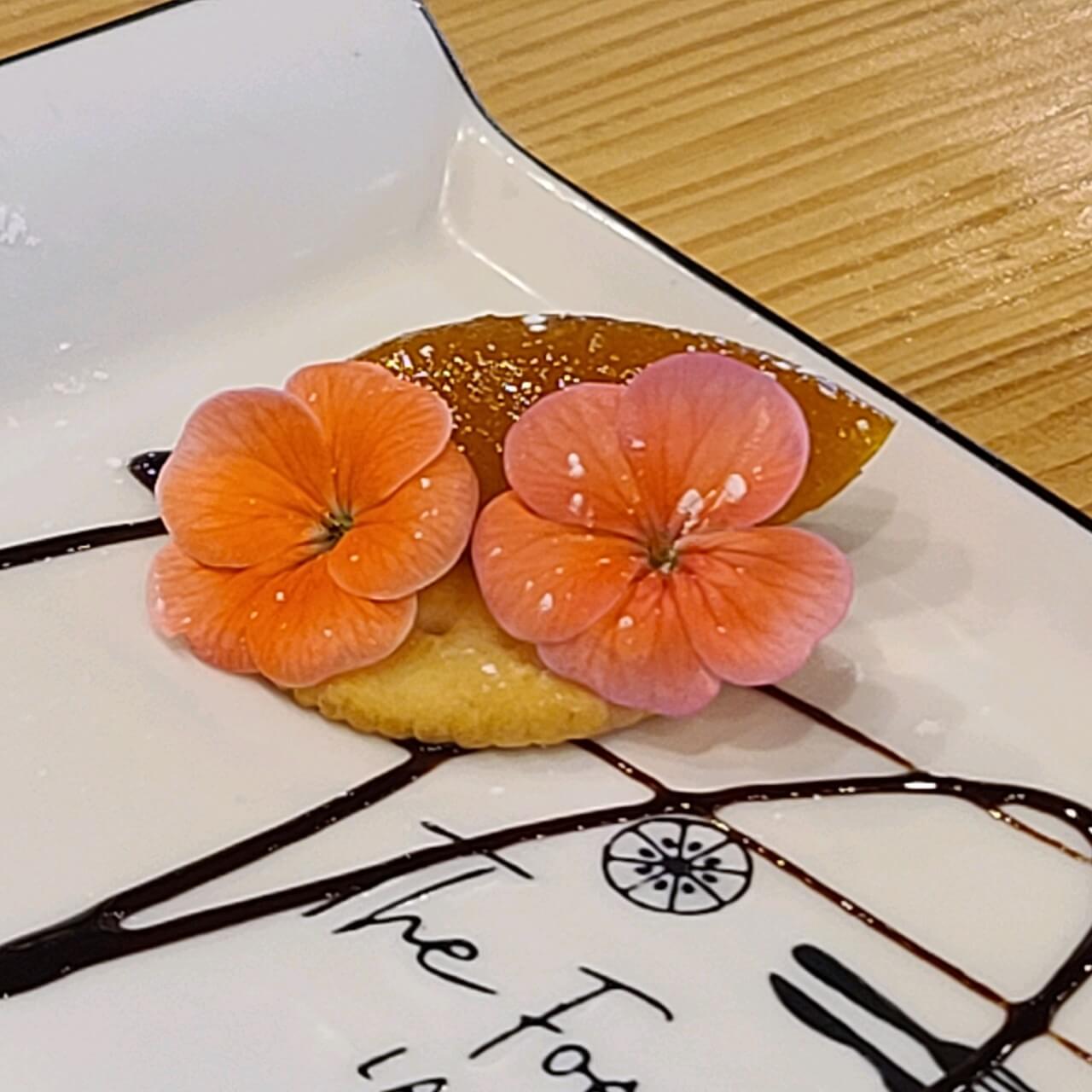 6시 내고향 충남 청양의 식용 꽃 카페 꽃이 머무는 자리 (꽃차&amp;#44; 꽃비빔밥&amp;#44; 꽃김밥 맛집) 