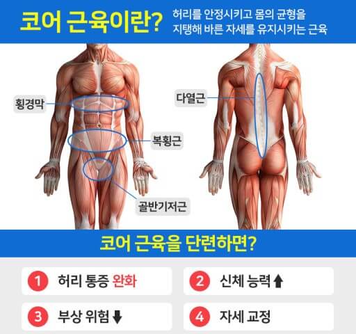 코어근육 모양