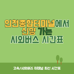 인천종합터미널에서 신양 가는 시외버스 시간표 최신정보