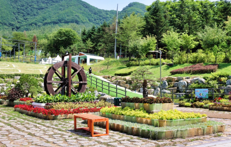 양구 수목원