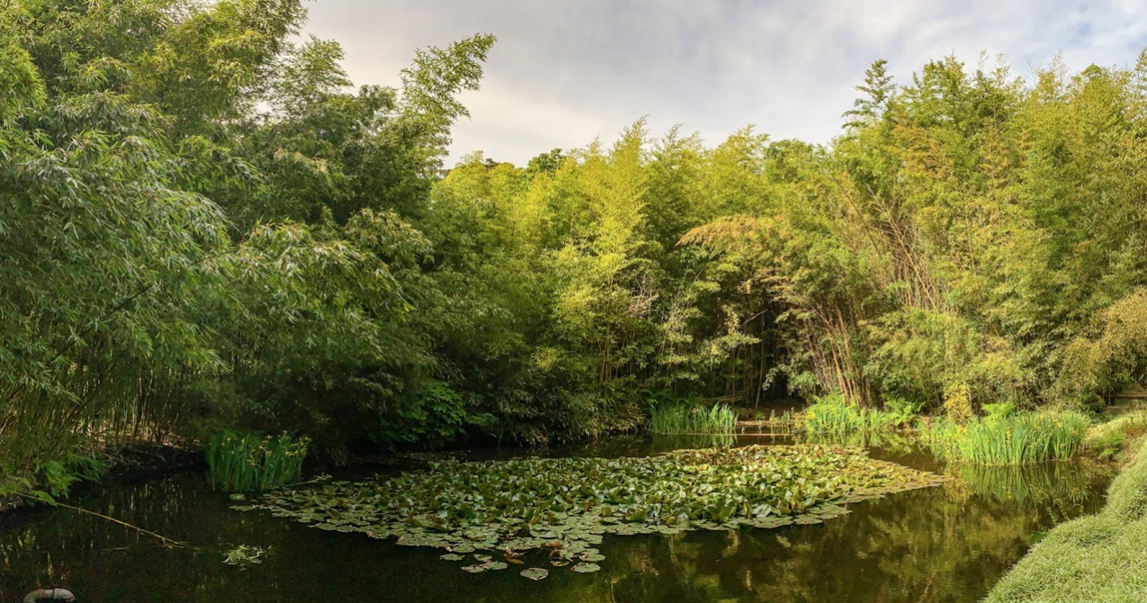 직접 간접 조명