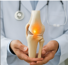 콘드로이친 효능