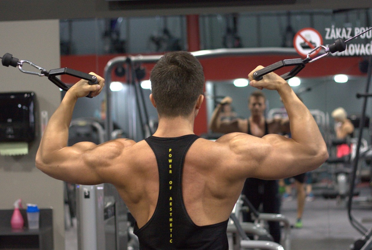 근력 운동 사진