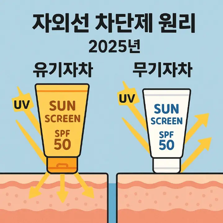자외선 차단제 원리, 2025년 유기자차 vs 무기자차