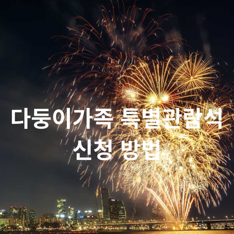 2025 서울세계불꽃축제 노들섬 특별관람석
