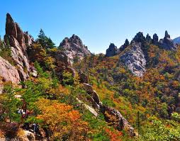 설악산 단풍 축제