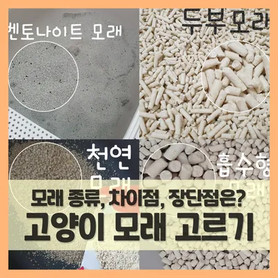 고양이 모래 추천 버리는법 벤토나이트 처리 탈취제_2