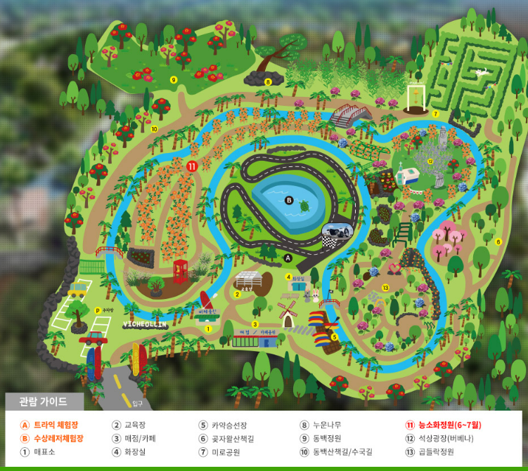 제주 비체올린 능소화축제