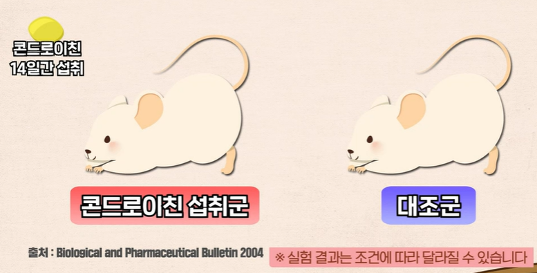 콘드로이친 효능