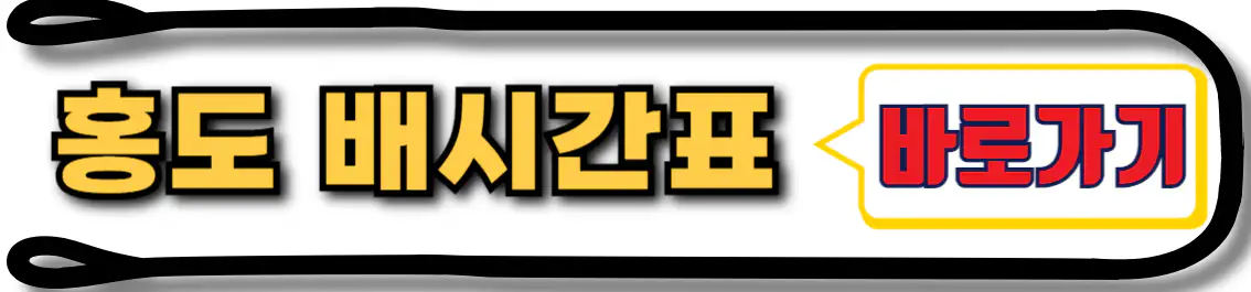 홍도 배시간표