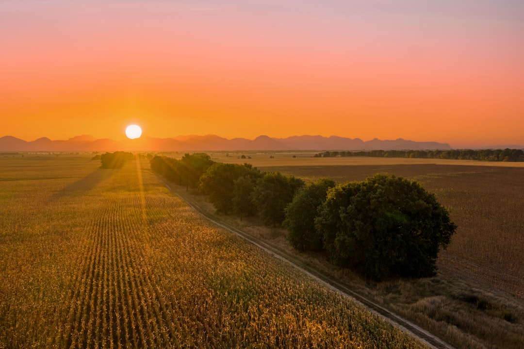 Sunrise