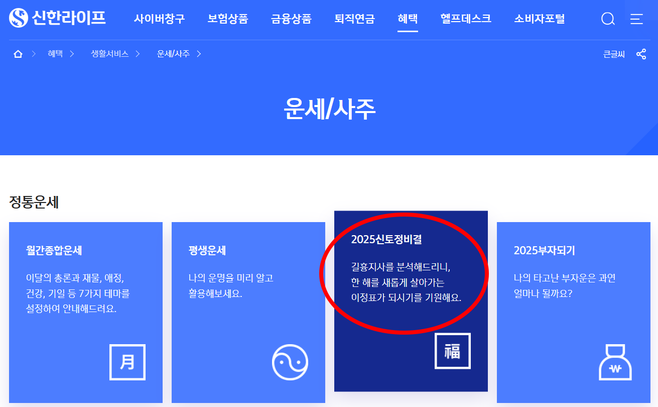 신한라이프 운세/사주 화면