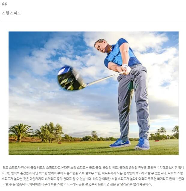 장타
