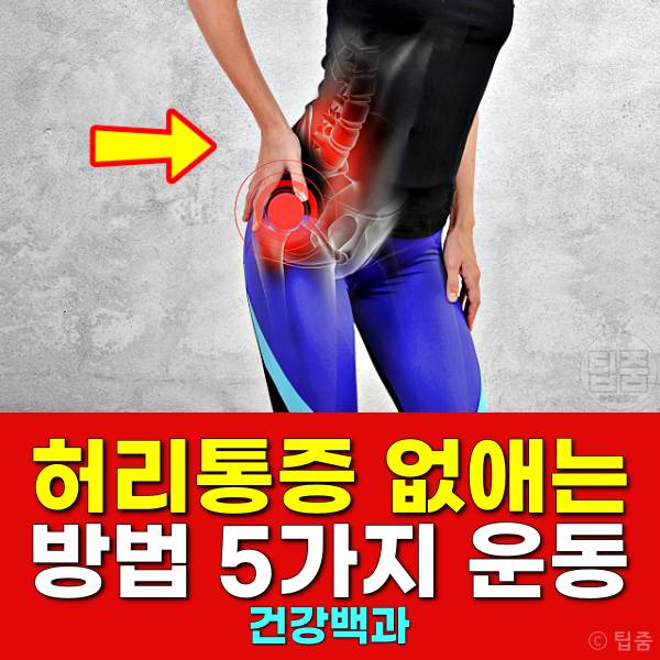 허리통증 없애는 방법 둔근 장요근 꼬리뼈통증 스트레칭