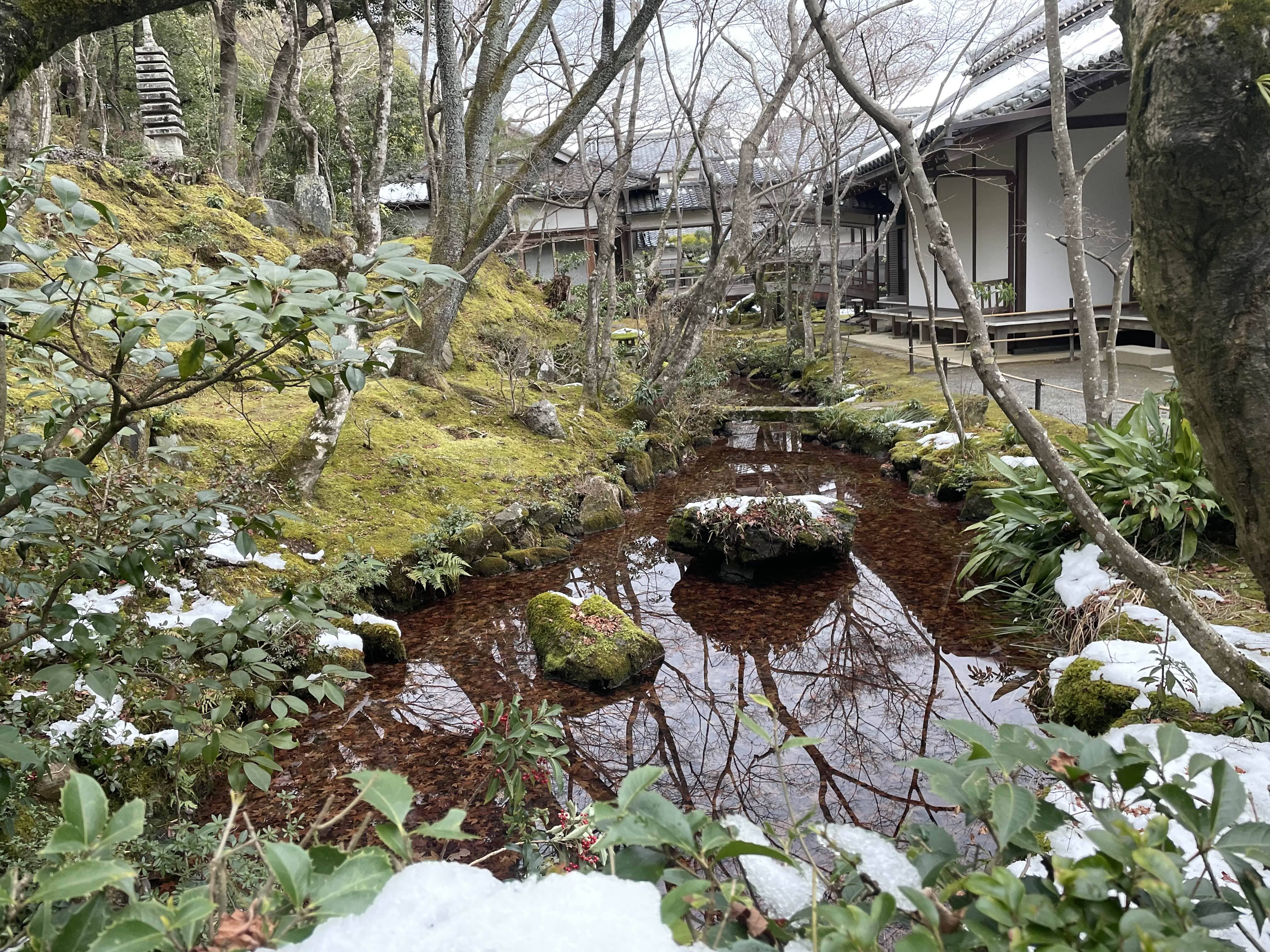 교토역 2박 3일 코스 아라시야마 상적광사 코스
