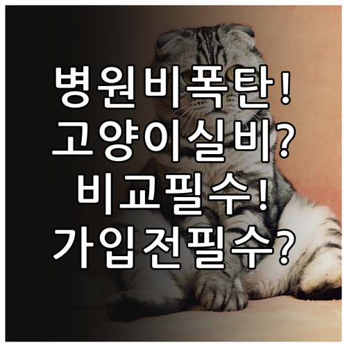 비싼 동물병원비 대비, 고양이 실비보..