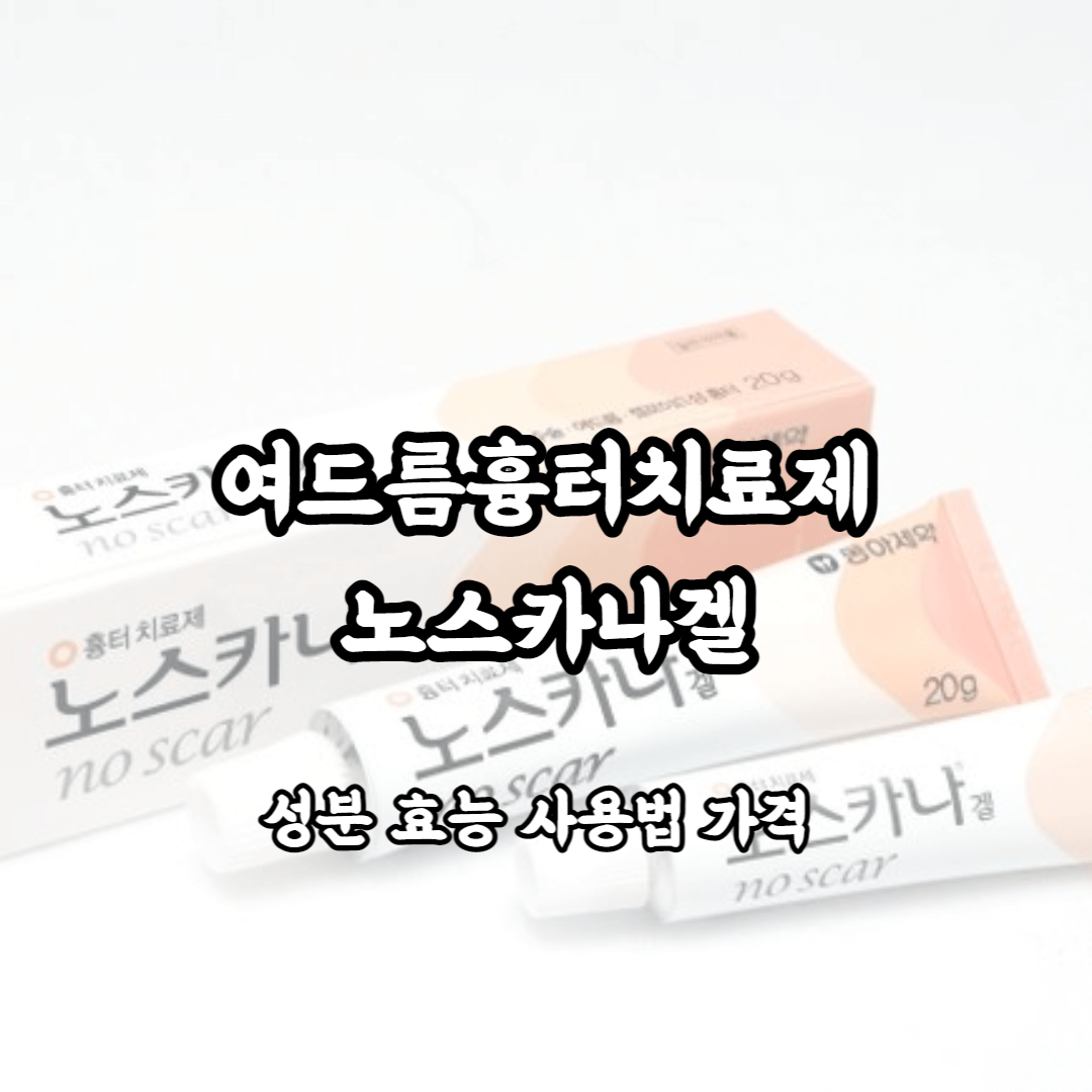 여드름 흉터치료제 노스카나 효능 및 성분 사용법 가격 정리