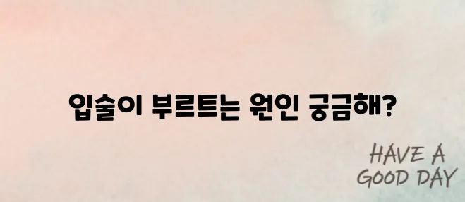 입술이 부르트는 이유