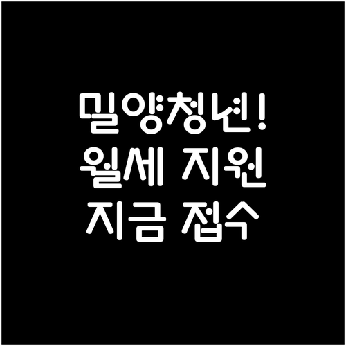 밀양시 청년 월세 지원 경남바로서비스..
