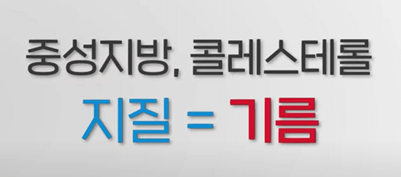 고지혈증 검사 비용