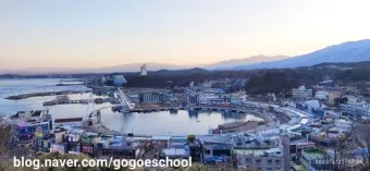 속초 대포항 맛집 추천 회센터 근처 인기 식당 리스트_12