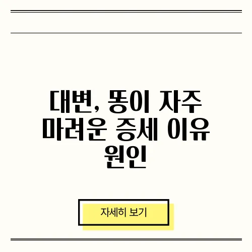 대변, 똥이 자주 마려운 증세 이유 원인