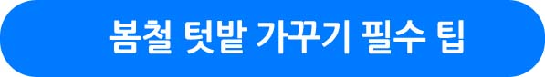 봄철 텃밭 가꾸기 필수 팁