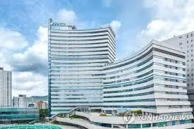 경기 G 한우 페스타