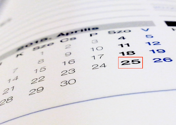 기초연금 지급일