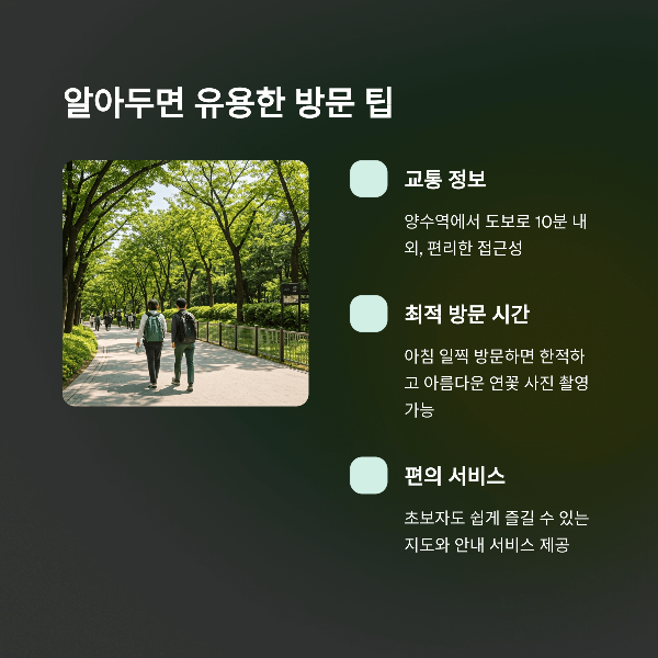 알아두면 유용한 방문 팁